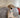 Benefits of a QR code pet tag - HeyBuddy Club