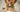 Is a QR code pet tag right for me? - HeyBuddy Club