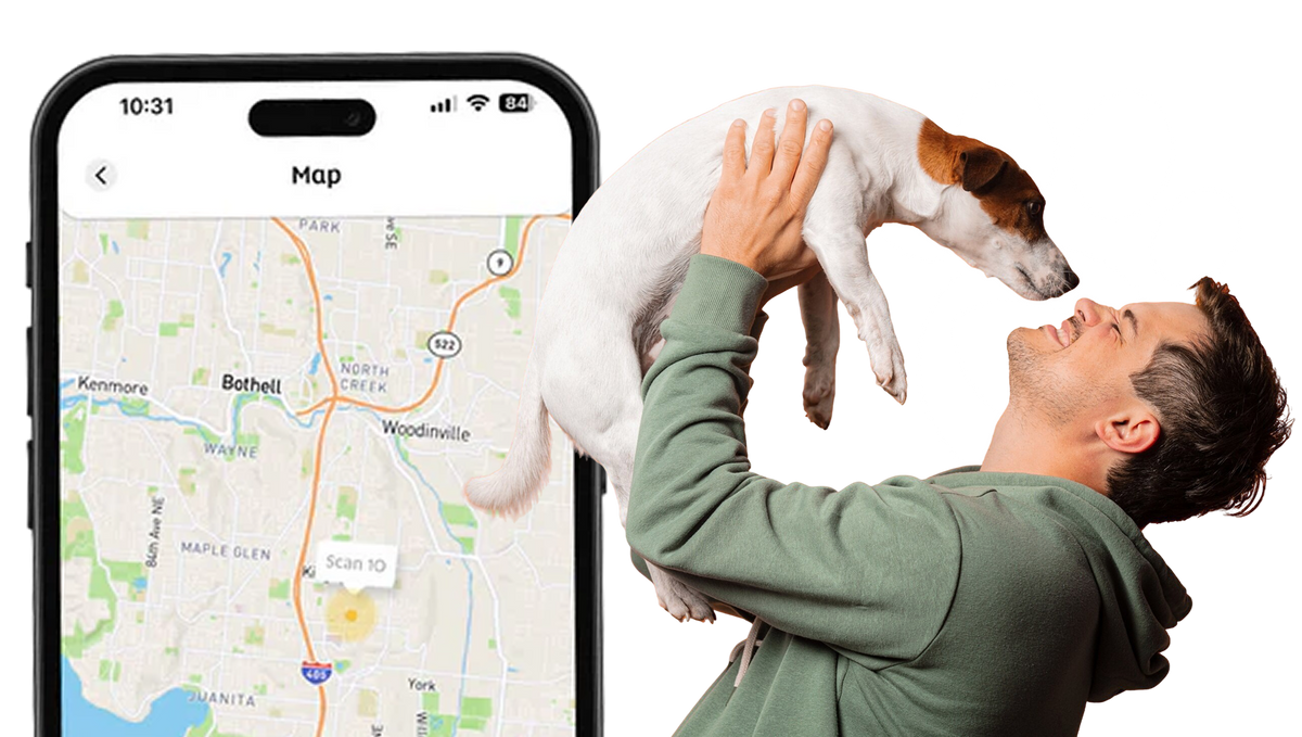 Pet Escape Image